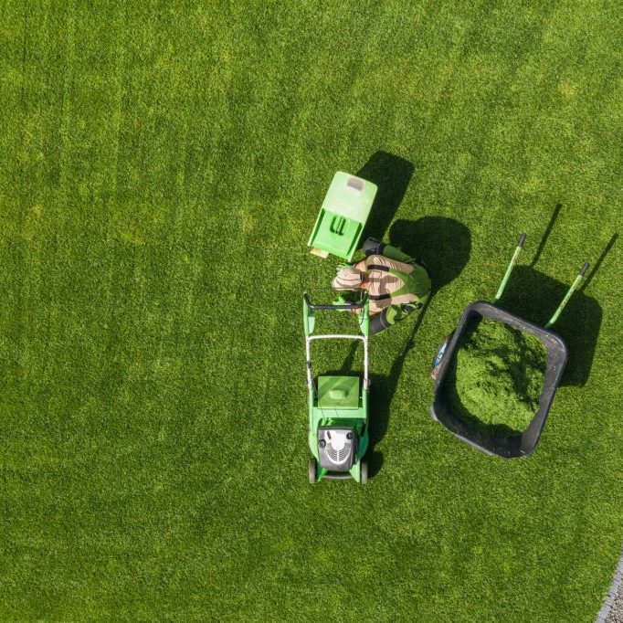 Backyard Garden Lawn Mowing and Maintenance Aerial View