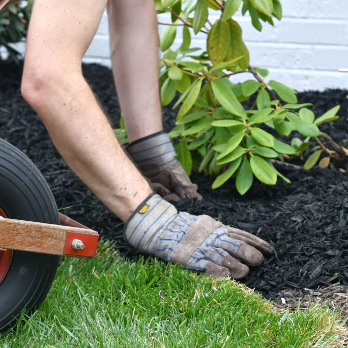 cropped-view-of-volunteers-with-recycling-box-cleaning-lawn-together-1024x684-square