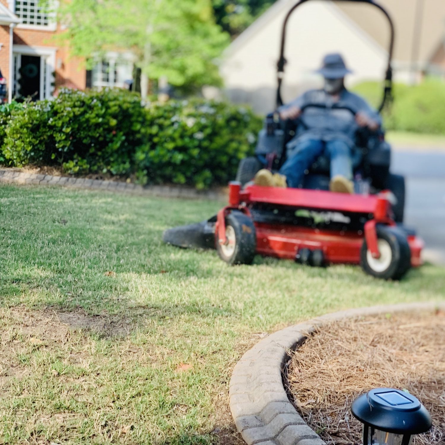Gardening grass moving edging yard maintenance Gardening grass moving edging yard maintenance