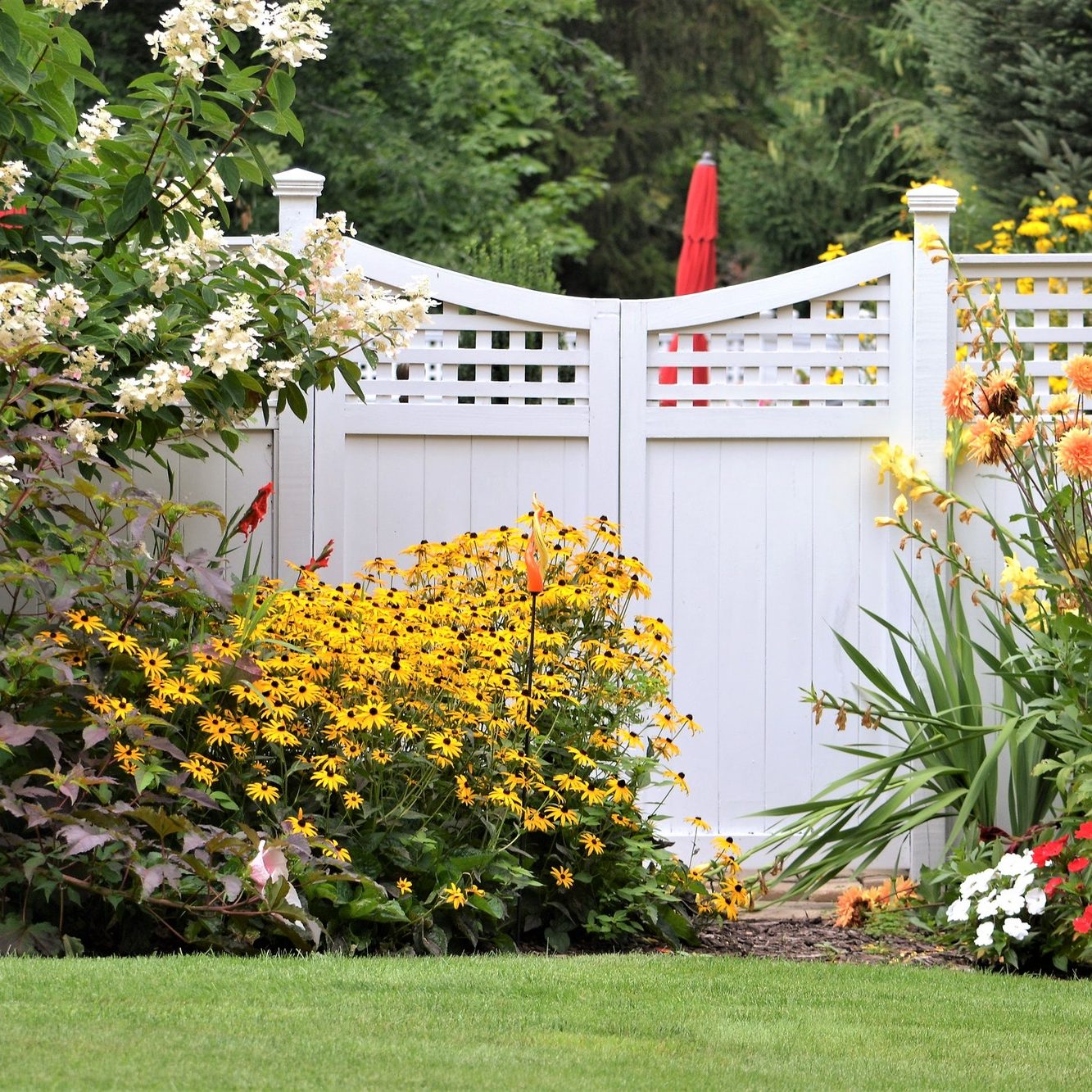 Home landscaping! Nominated 🌷 Home landscaping! Nominated 🌷