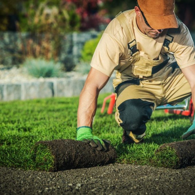 Professional Landscaper Job.